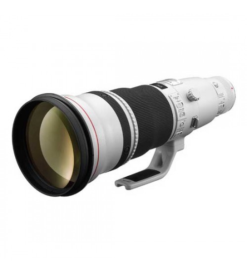 Canon RF 600mm f/4L IS USM Lens